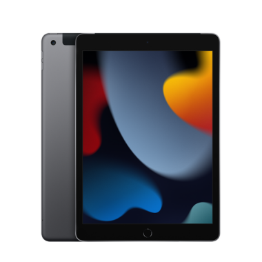 Apple iPad 10,2 WiFi + Cellular 64GB gwiezdna szarość