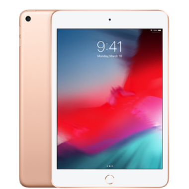 Apple iPad mini 2019 Wi-Fi + Cellular 64GB Złoty