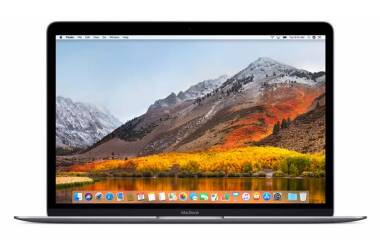 Apple MacBook 12 Gwiezdna Szarość 1,2Ghz/8GB/256SSD/IntelHD