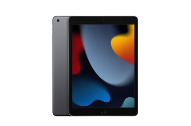 Apple iPad 10,2 WiFi 256GB gwiezdna szarość