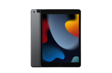 Apple iPad 10,2 WiFi + Cellular 64GB gwiezdna szarość