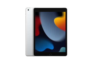 Apple iPad 10,2 WiFi + Cellular 256GB srebrny