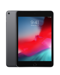 Apple iPad mini 2019 Wi-Fi 256GB Gwiezdna szarość - zdjęcie 1