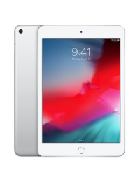 Apple iPad mini 2019 Wi-Fi + Cellular 256GB Srebrny - zdjęcie 1