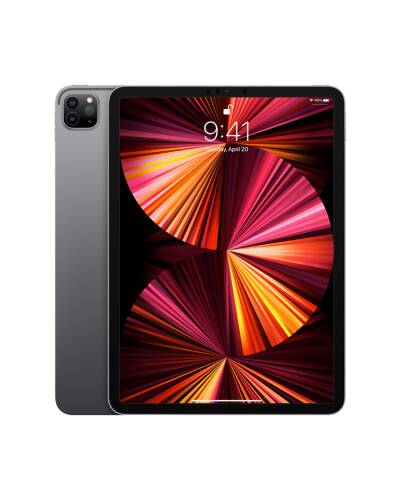 Apple iPad Pro 11 M1 256GB WiFi + Cellular gwiezdna szarość - zdjęcie 1