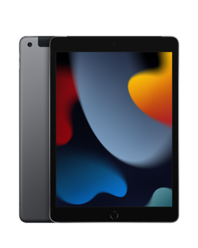 Apple iPad 10,2 WiFi + Cellular 64GB gwiezdna szarość - zdjęcie 1