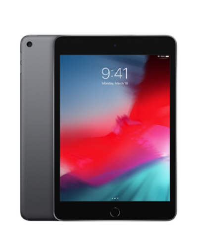 Apple iPad mini 2019 Wi-Fi 256GB Gwiezdna szarość - zdjęcie 1