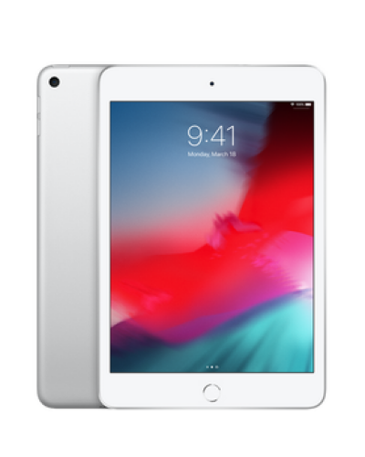 Apple iPad mini 2019 Wi-Fi 256GB Srebrny - zdjęcie 1