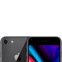 Apple iPhone 8 256GB Gwiezdna Szarość
