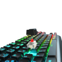 Klawiatura Lioncast LK200 RGB