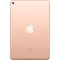 Apple iPad mini 2019 Wi-Fi 64GB Złoty