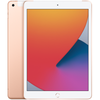 Apple iPad 10,2 WiFi + Cellular 128GB Złoty 