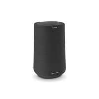 Czarny głośnik Harman Kardon Citation 100 o cylindrycznym kształcie z materiałowym wykończeniem, widoczne cztery białe diody LED na górnym panelu.