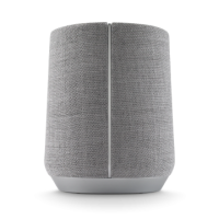 Głośnik Harman Kardon Citation 300 w kolorze szarym o cylindrycznym kształcie z charakterystycznym pionowym panelem na przedniej części obudowy.