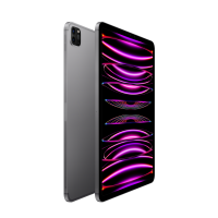 Apple iPad Pro 12.9 M2 256GB Wi-Fi + Cellular gwiezdna szarość