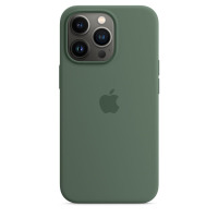 Etui do iPhone 13 Pro Apple Silicone Case z MagSafe - eukaliptusowe