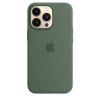 Etui do iPhone 13 Pro Apple Silicone Case z MagSafe - eukaliptusowe