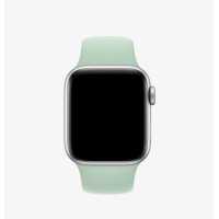 Apple Pasek do Apple Watch silikonowy 44/45/49mm - beryl
