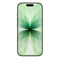Apple iPhone 17 w kolorze szałwiowym z włączonym ekranem, widoczny od frontu z charakterystycznym wycięciem Dynamic Island w górnej części wyświetlacza.