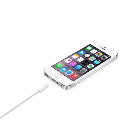Przewód do iPad/iPhone Apple Lightning/USB 