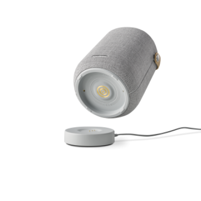 Harman Kardon Citation 200 szary