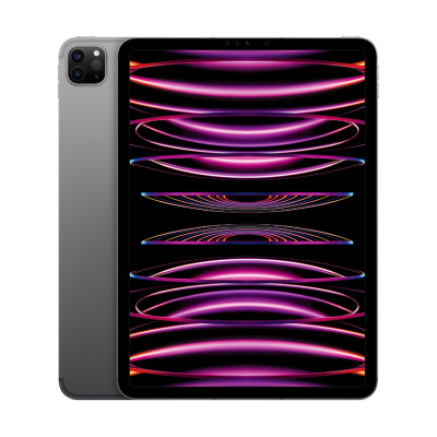Apple iPad Pro 12.9 M2 2TB Wi-Fi + Cellular gwiezdna szarość