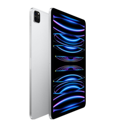 Apple iPad Pro 11 M2 2TB Wi-Fi srebrny
