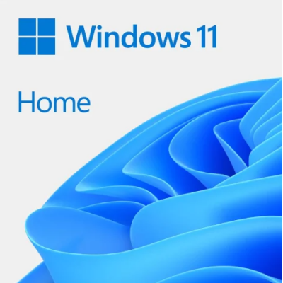 Logo systemu operacyjnego Microsoft Windows 11 Home na jasnym tle z charakterystyczną niebieską, abstrakcyjną falą w prawym dolnym rogu ekranu.
