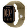 Apple Watch Series 12